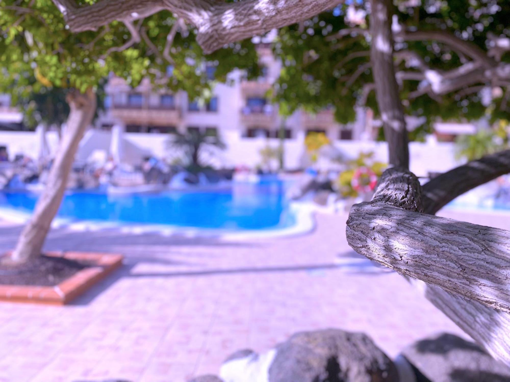 Tropicalidays Costa Mar Apartment Costa Del Silencio Exterior photo