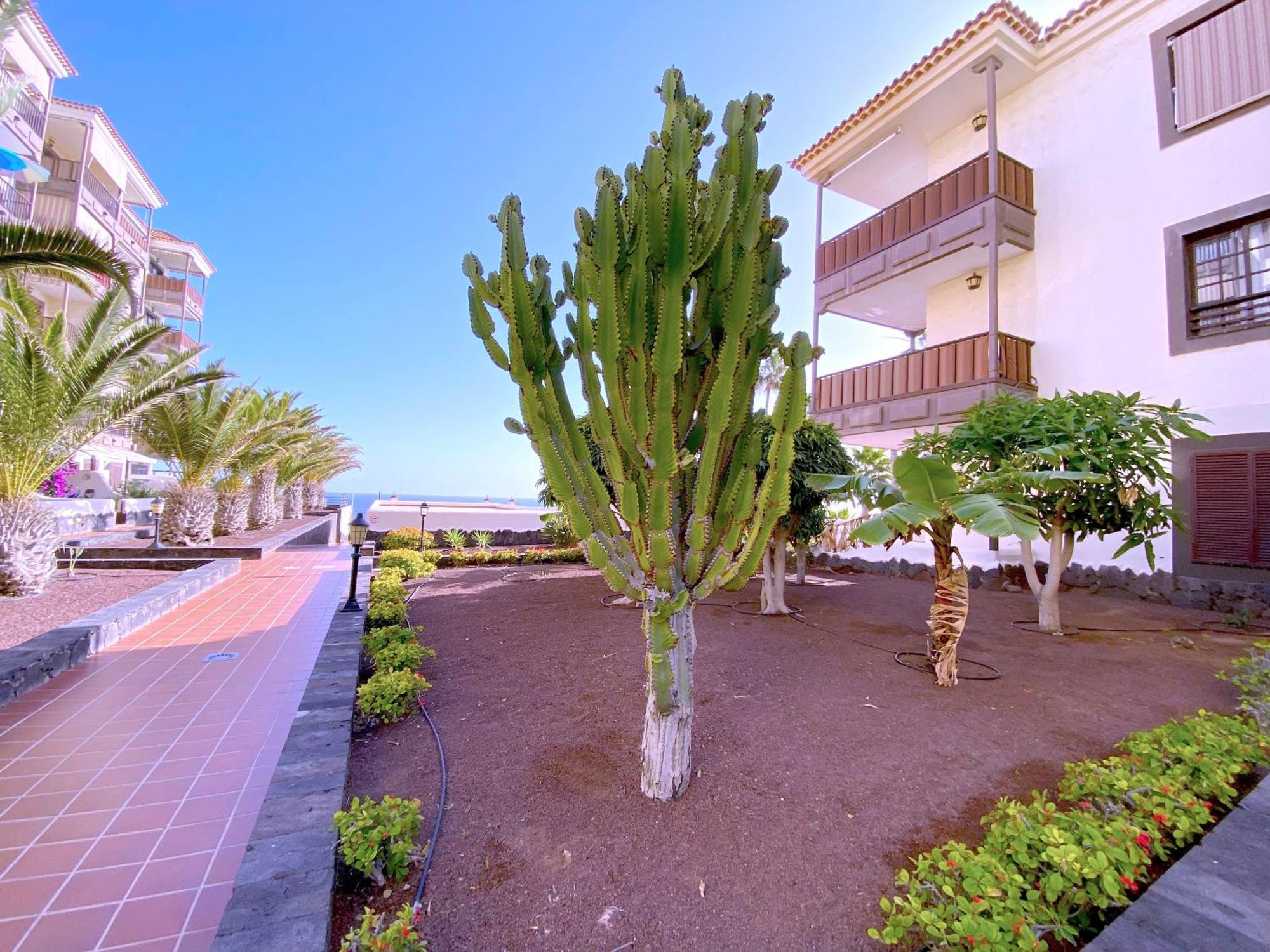 Tropicalidays Costa Mar Apartment Costa Del Silencio Exterior photo